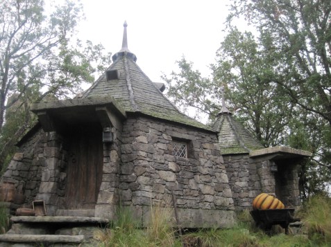 Hagrid's Hut at WWoHP Hagrid's Hut at WWoHP