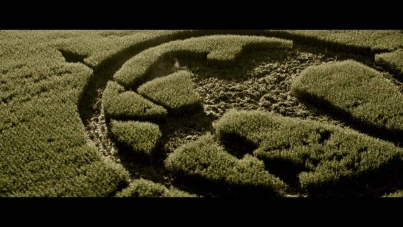 Mockingjay crop circle