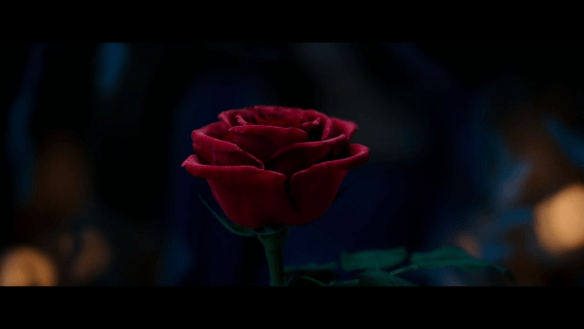 The enchanted rose
